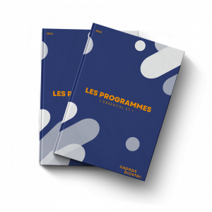 Les connaissances « programmes »