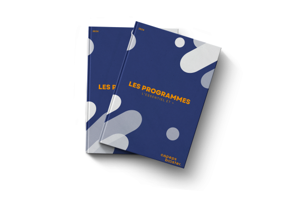 Les connaissances "programmes"